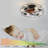 20'' 7-Blade LED Standard Ceiling Fan with Remote Control and Light Kit Included