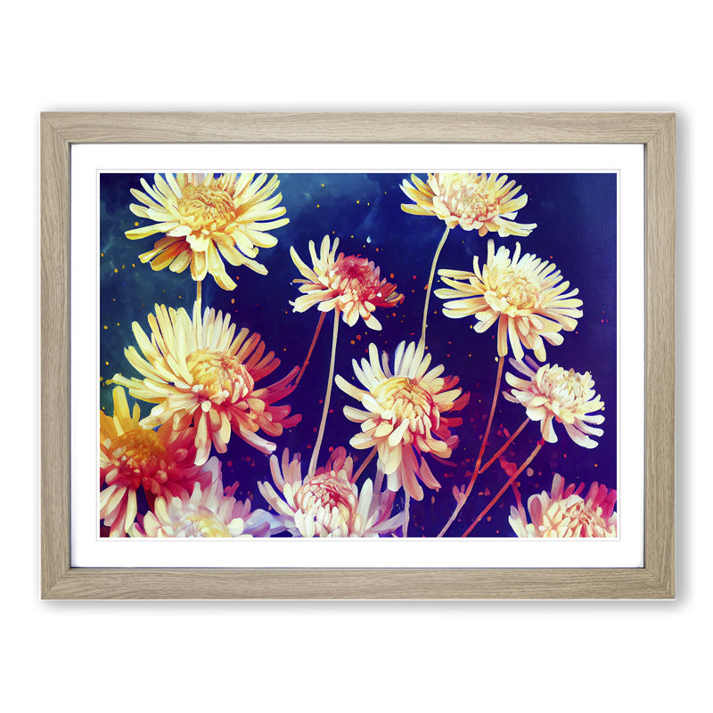 Vibrant Chrysanthemum Flowers - Framed Print, 46cm H x 64cm W x 2cm D, Oak