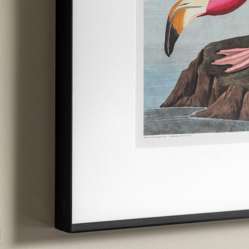 Single Picture Frame Print