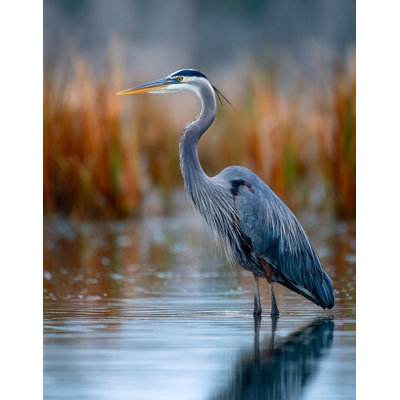 «Autumn Water Heron», art mural sur toile tendue