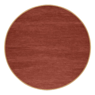 Machine Washable Solid Brown Area Rug