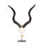Mounted Kudu Skull-72652157