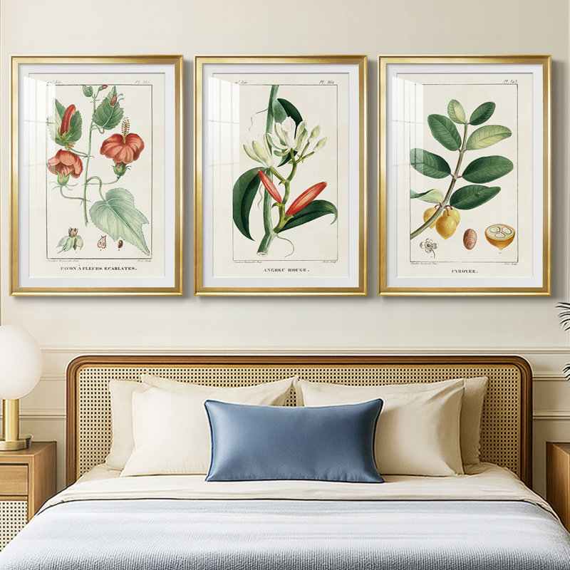 Turpin Tropical Botanicals IV - reproduction sur mesure encadrée de qualité supérieure - 3 pièces, H 19 po x l 27 po, Doré