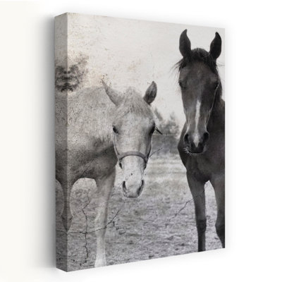 Mr. Ed et Neeeee palier, art contemporain de paysage de cheval contemporain