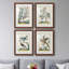 «Pastel Birds I», ensemble de 4 reproductions de cadres photo-1266957737-1266957731