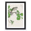 Barbary Dove and Oak Tree by Numata Kashu - Picture Frame Painting Print-55683402-55683403