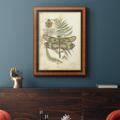 " Regal Dragonfly IV (PP) "