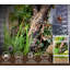 Terrarium pour petits insectes 3 x 3 x 6 pouces