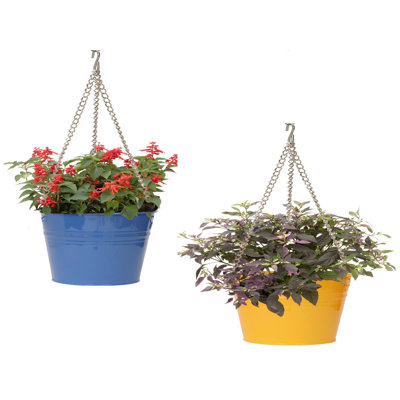 Enameled Galvanized Steel Hanging Planter