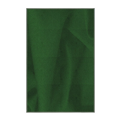 Tapis 100% à motifs lavables à la machine 2989 Pat536-GRN