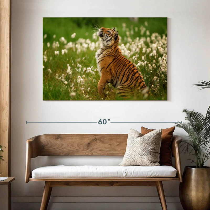 Brampt Tiger Cub, 32" H x 48" W