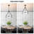 5-light Drum Chandeliers With Textured Glass -844178650