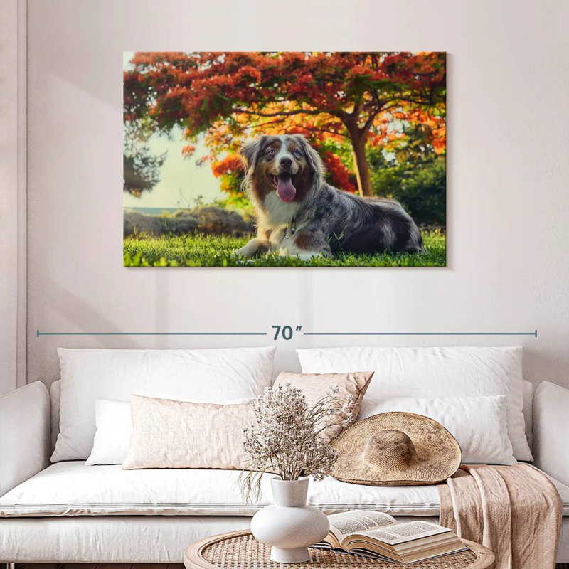 Cherry Border Collie, 30" H x 45" W