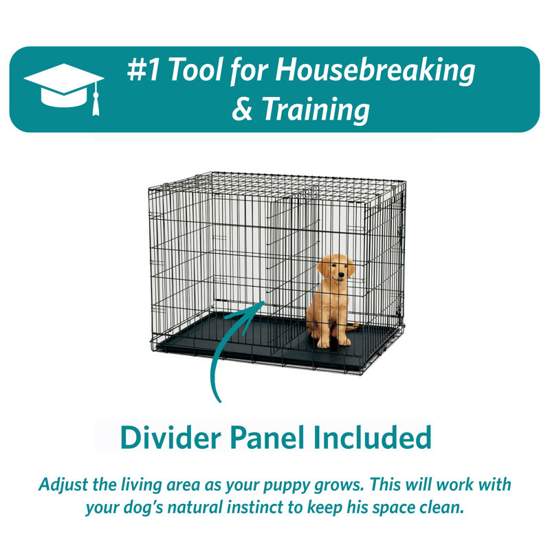Black Double Door Folding Metal Dog Crate, 36"