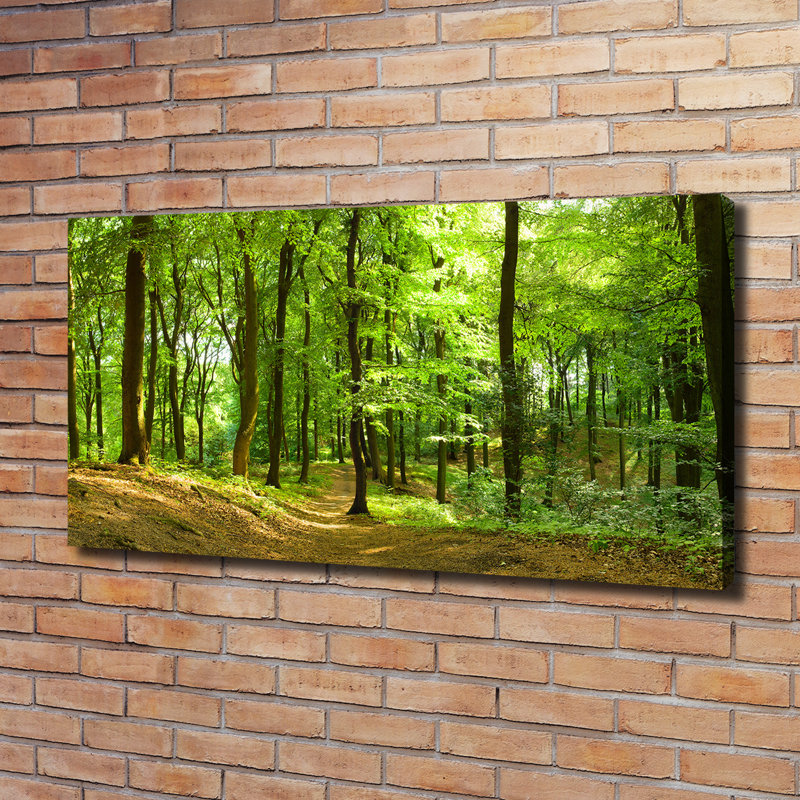 Forest Track - Wrapped Canvas Print