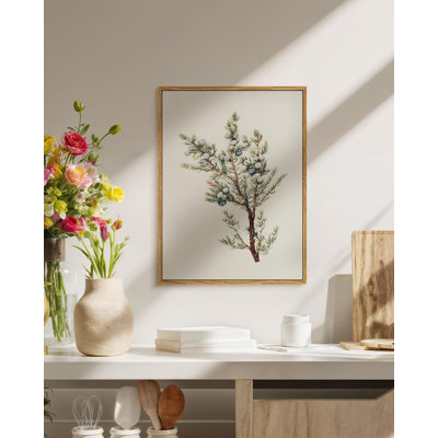 Juniper Berry Botanical Framed Wall Art