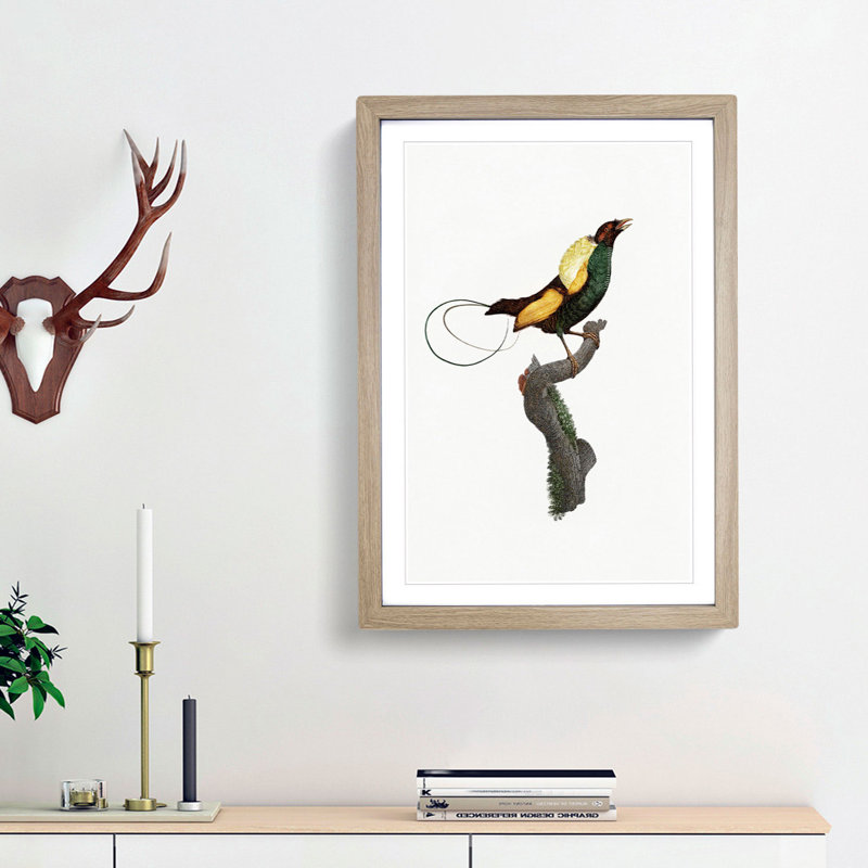 A Magnificent Bird Of Paradise by Jacques Barraband - Single Picture Frame Painting, Oak Framed, 63cm H x 45cm W x 2cm D
