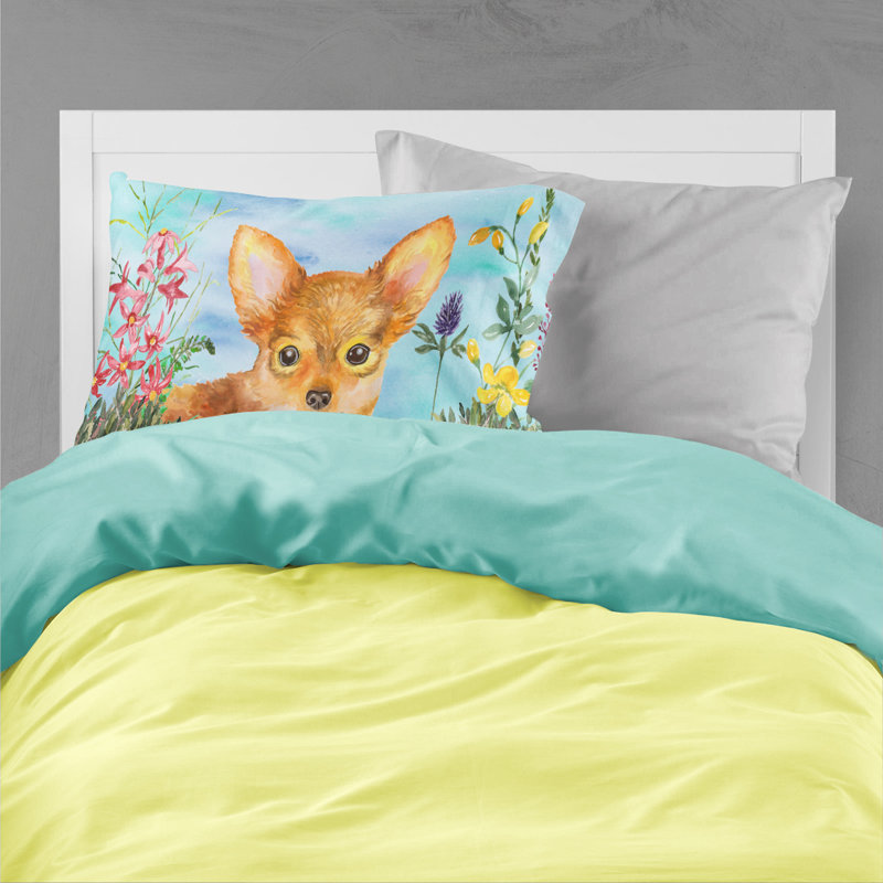 Alaskan Microfiber, Toy Terrier