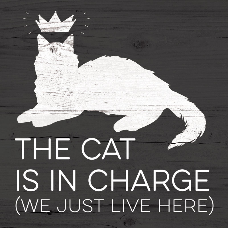 Cat In Charge - Wrapped Canvas Print, 51cm H x 51cm W x 3.8cm D