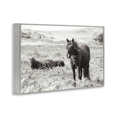 Dartmoor Poneys Lounging, art de la giclée encadrée, conception par Deborah Revell