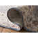 Christensen Performance Oriental Rug