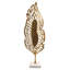 Feuille d'or Primavera  