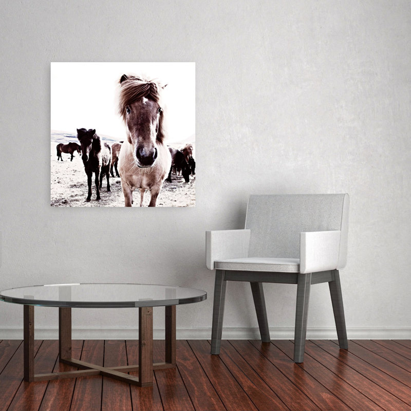 Islande, cheval, Rikka, art contemporain abstrait, paysage de cheval