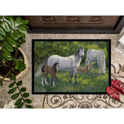 Non-Slip Outdoor Doormat