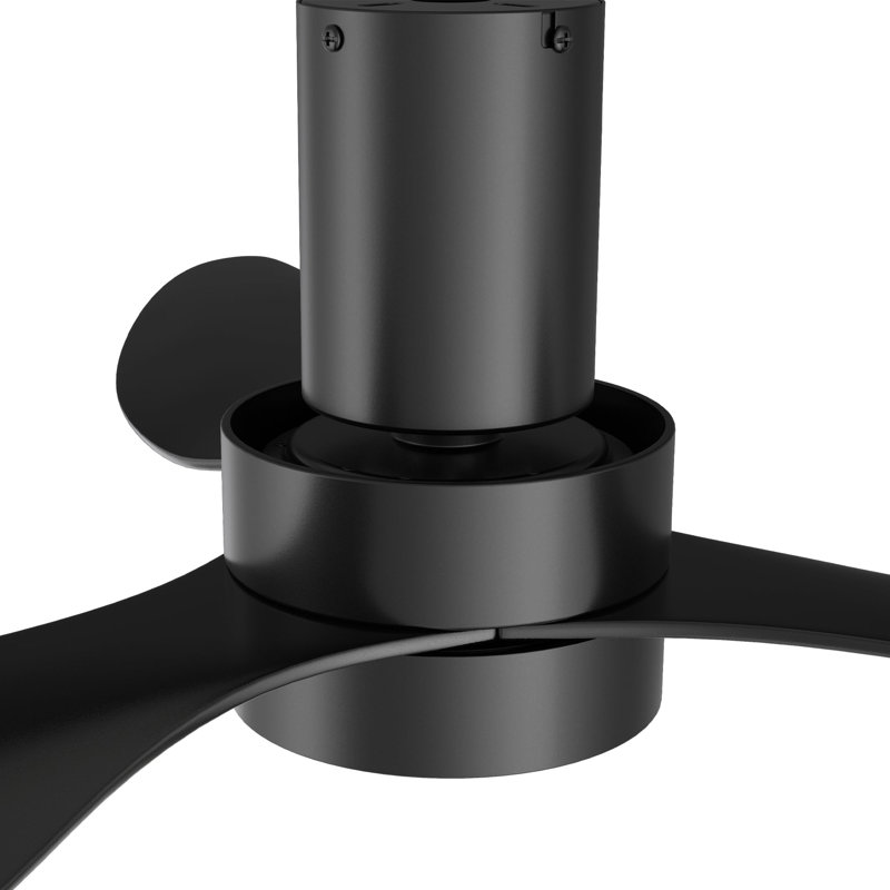 Ventilateur de plafond Zephyr avec télécommande, ensemble d'éclairage inclus., Noir, 200 tr / min