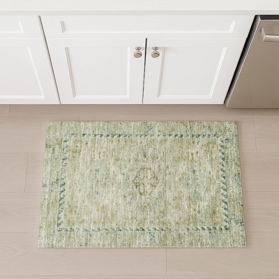 Machine Washable Indoor/Outdoor Earleville ACN2357 Traditional Rug