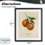 «Orange Fruit Portrait», reproduction encadrée sous verre, conception de Danielle Murray-598569682-598569680
