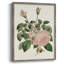 «Pink Floral Mix II», reproduction encadrée - bois massif-1924169862