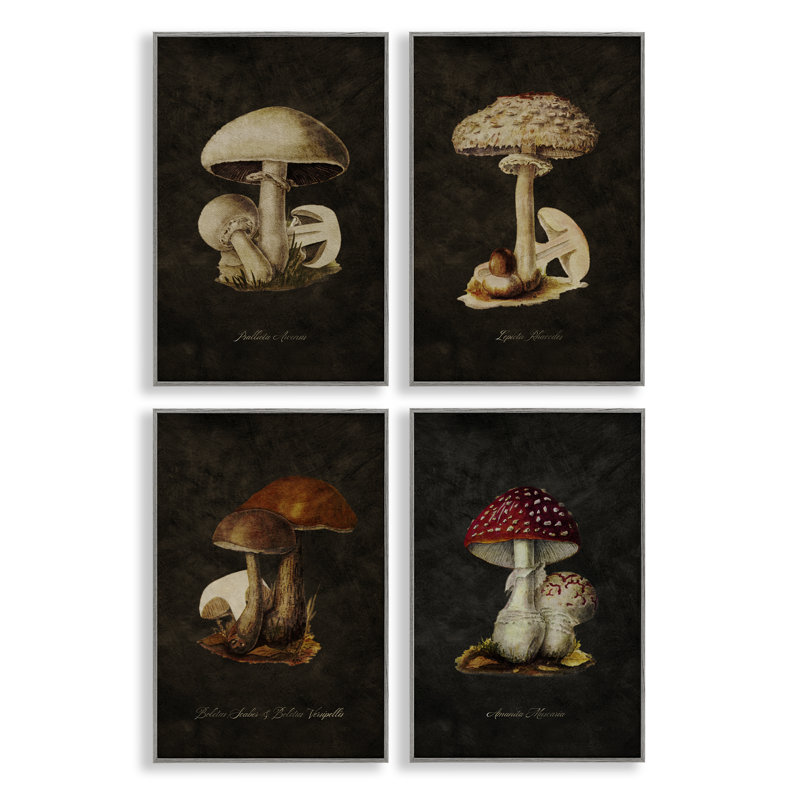  Mushroom Genus Study, ensemble de 4 estampes numériques par Tina Higgins Designs, Inc., H 18 po x l 12 po