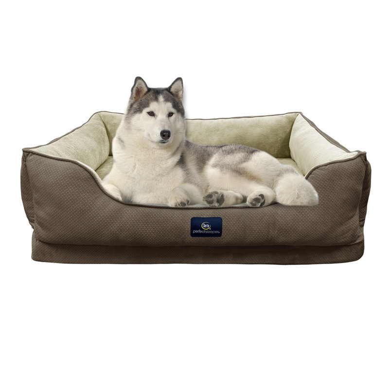 Lit pour chien Serta Ortho Cuddler, Moka, H 10 po x l 46 po x P 34 po