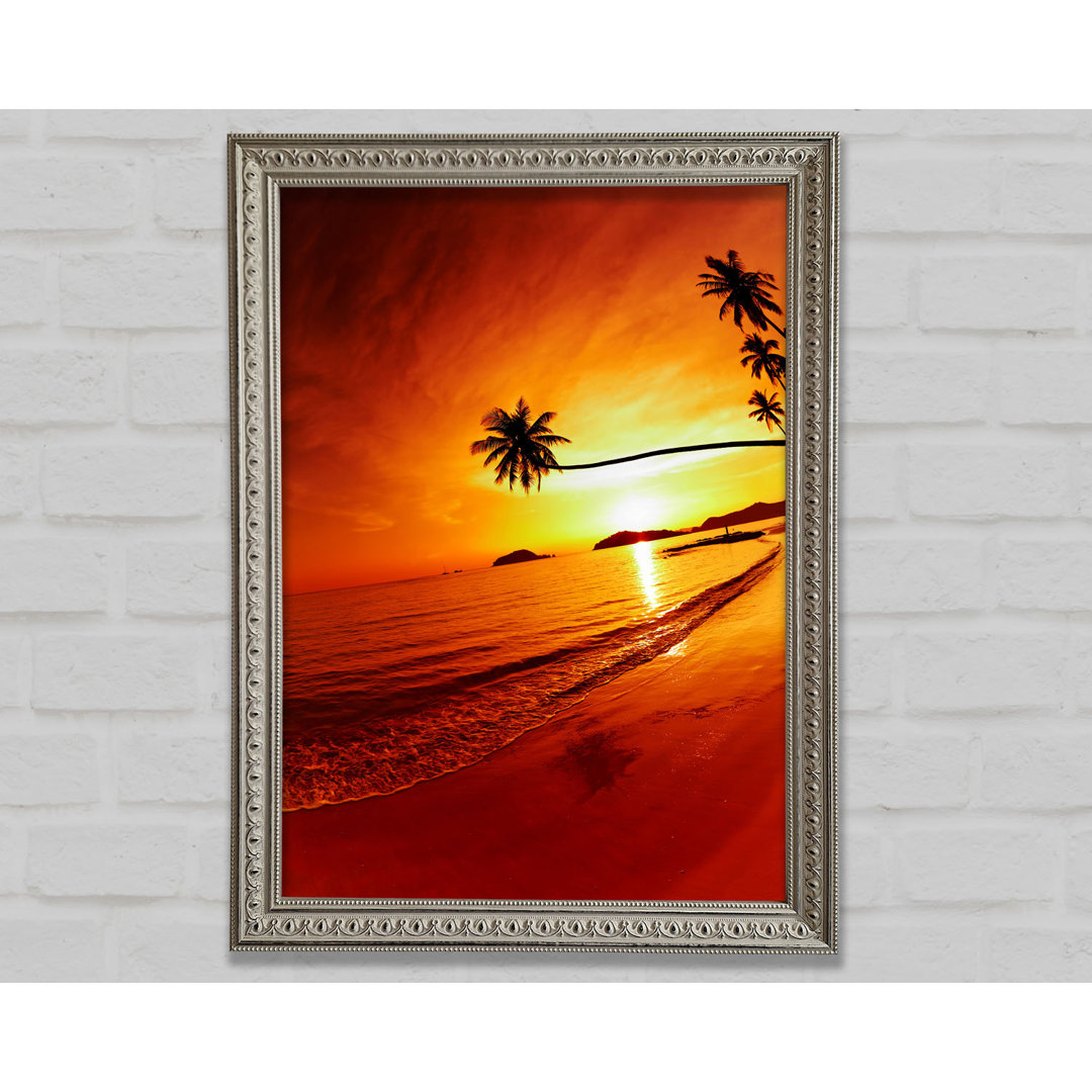 Gerahmtes Bild Ocean Sunset Palm