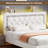 Alber Bed Frame with Storage Headboard, Upholstered Platform Bed Frame with Diamond Tufted Headboard and LED Lights, Wooden Slats Support, Noise Free-1692455152-1694491608
