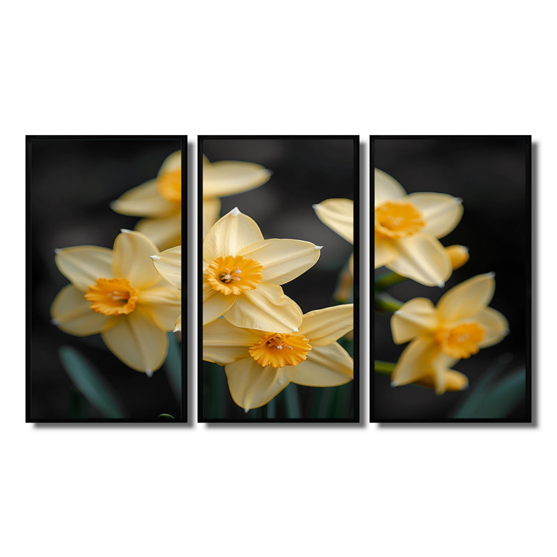 - Ensemble de reproductions d'art mural jonquilles, H 28 po x l 36 po x P 1 po, Toile avec cadre flottant noir