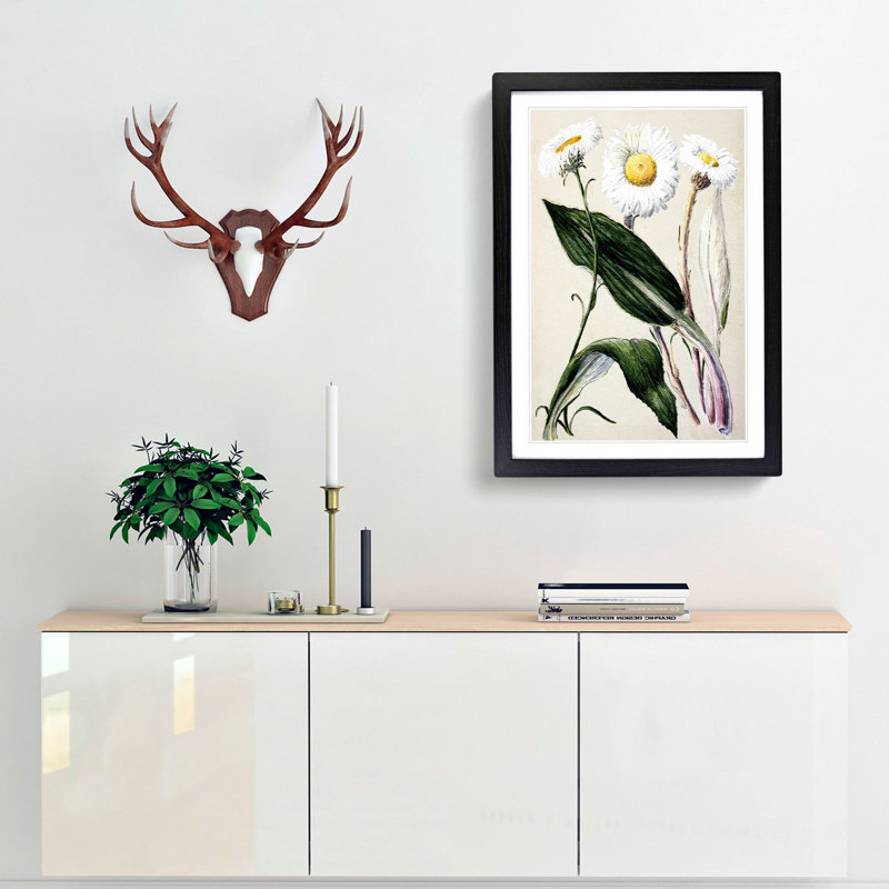 Mountain Daisies by Sarah Featon - Picture Frame Painting Print, 36cm H x 27cm W x 2cm D, Black Framed