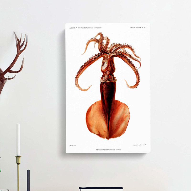 Squid Illustration by Albert I - Wrapped Canvas Painting, 60cm H x 40cm W x 3cm D