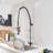 VIBRANTBATH Pull Down Kitchen Faucet-90764560