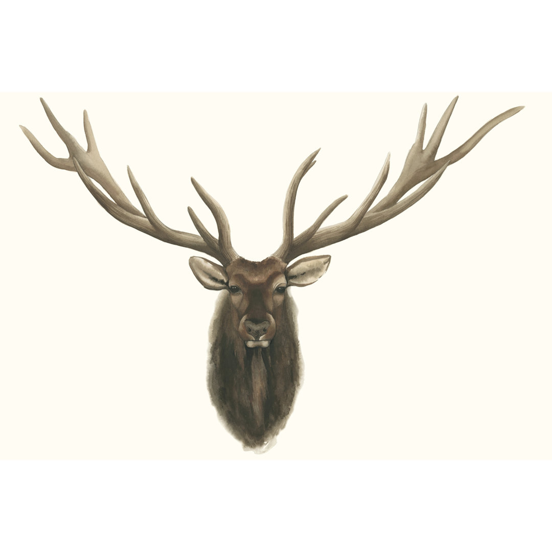 Leinwandbild Elk Bust