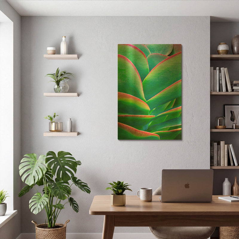 'Succulent VIII' By Dennis Frates Gold Metal Wall Art, 12" x 16", 24 po x 36 po