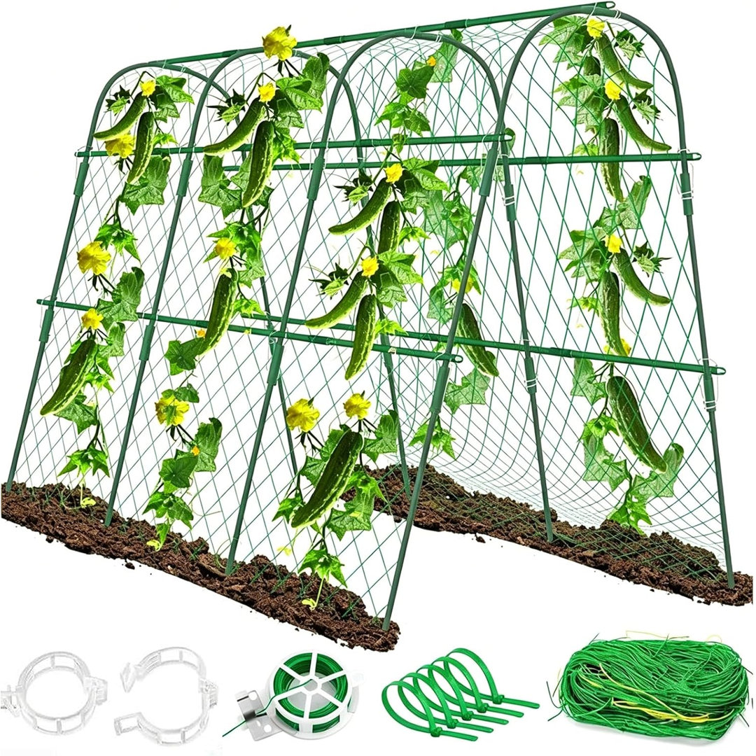 1.2cm H x 1.6cm W Arched Trellis