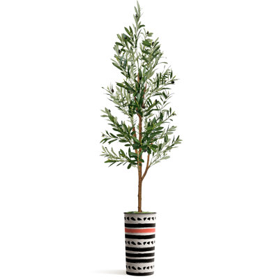 68 plantes