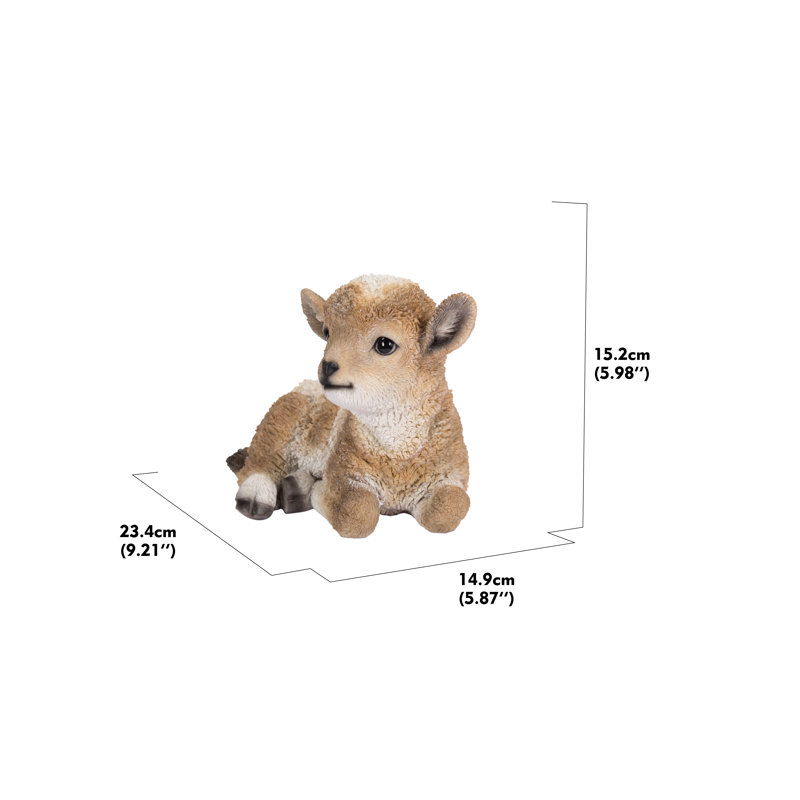 Baby Lamb Lying Down, Brown