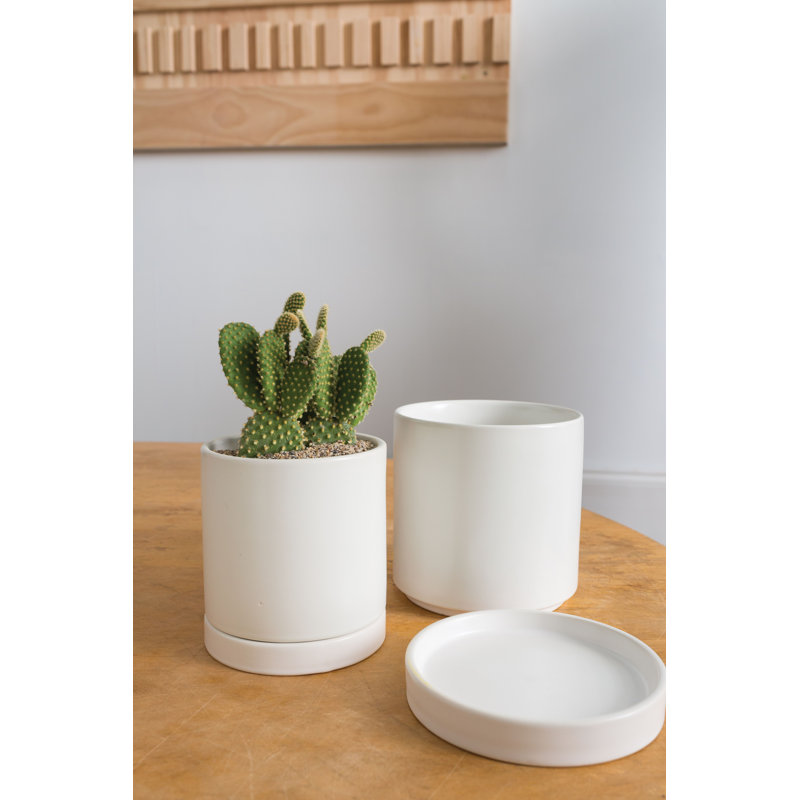 Ceramic Planter, White, 5.8" H x 5" W x 5" D