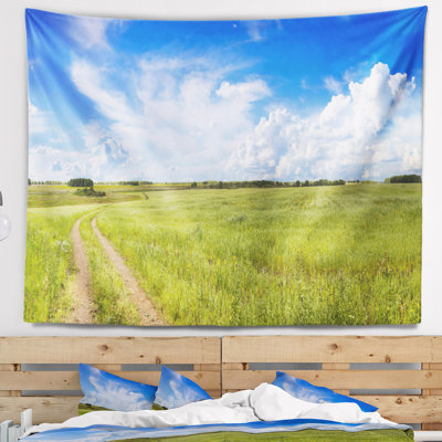 Paysage, route dans un champ avec tapisserie d'herbe verte