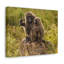 No Frame Print on Canvas-471231339