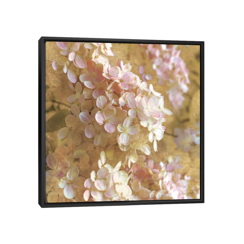 «Gilded Hydrangea I», impression sur toile tendue, H 18 po x l 18 po x P 1,5 po, Toile encadrée noire, Pas de tapis