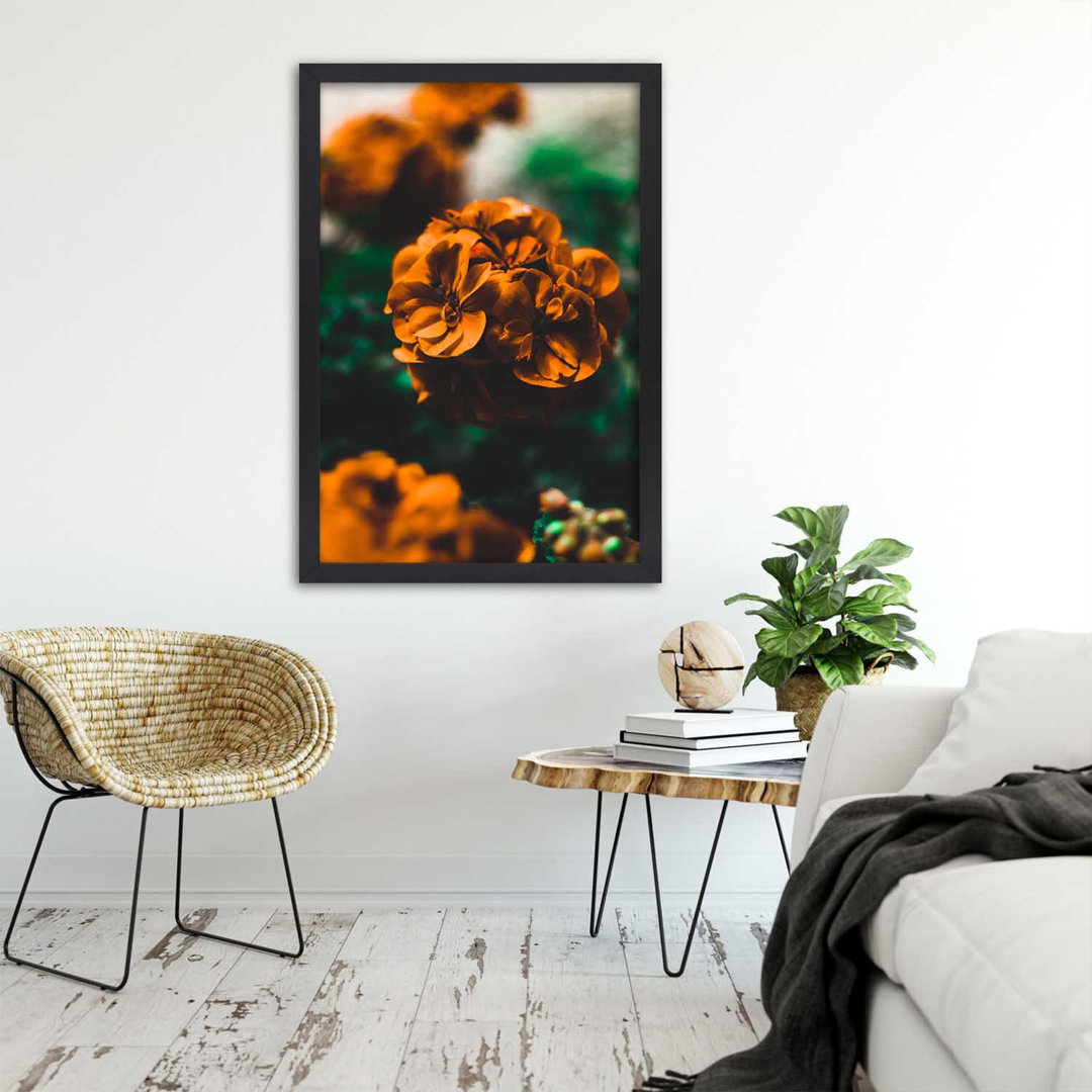 Gerahmter Fotodruck Orange Summer Flowers